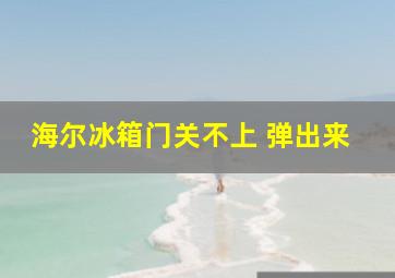 海尔冰箱门关不上 弹出来